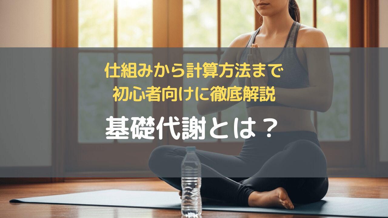 基礎代謝とは？仕組みから計算方法まで初心者向けに徹底解説