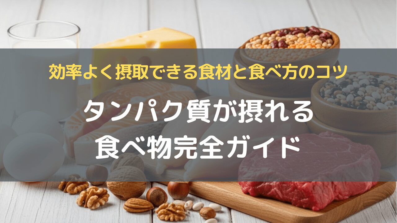 タンパク質が摂れる食べ物完全ガイド｜効率よく摂取できる食材と食べ方のコツ